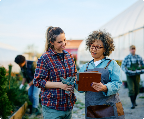 Greenhouse owner consulting orders on a tablet